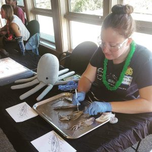 Kelley Voss squid dissection